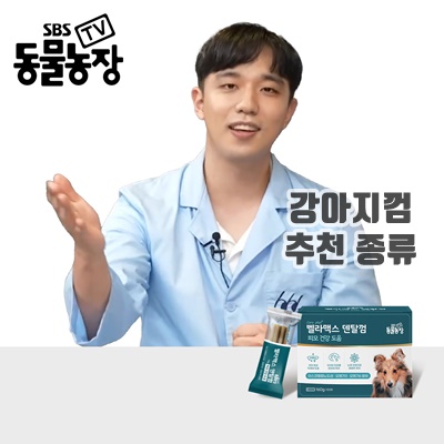 구강에도움 강아지껌 추천 종류가 다양해요