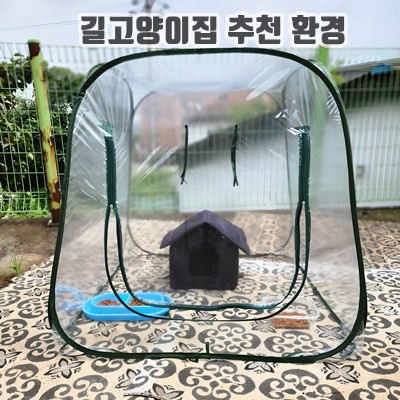 1.조립식 비닐하우스 미니 온실 소형 가정용 베란다 옥상 식물 겨울집 길고양이 [오디가 ODIGA], 1개_이미지(imge)입니다.