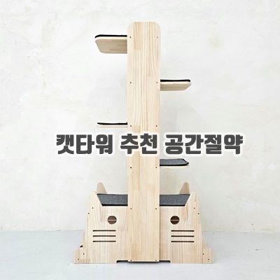 트레이닝 캣타워 추천 공간절약 다용도 종류