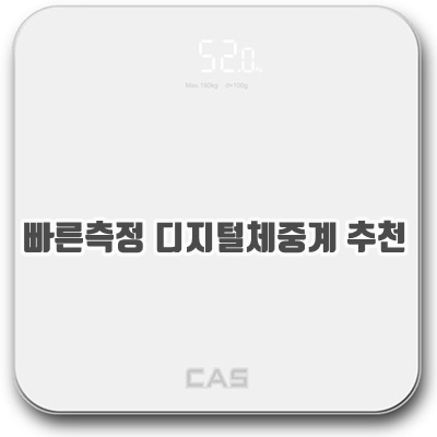 빠른측정 디지털체중계 추천 편리한 사용 디자인 종류