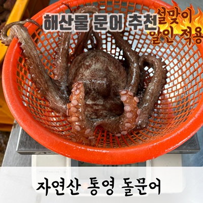 해산물 문어 추천 효능 요리 크기