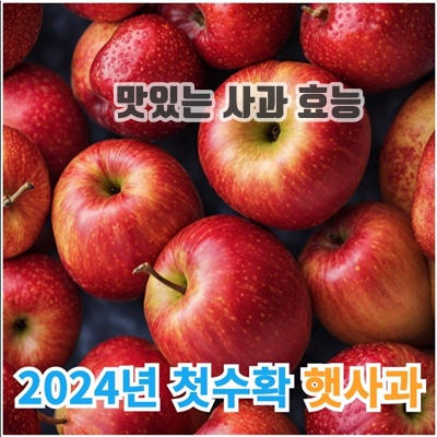 맛있는 사과 효능 추천 장단점 다양한 종류