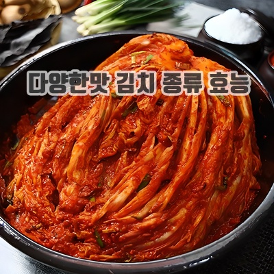 다양한맛 김치 종류 요리 효능 활용