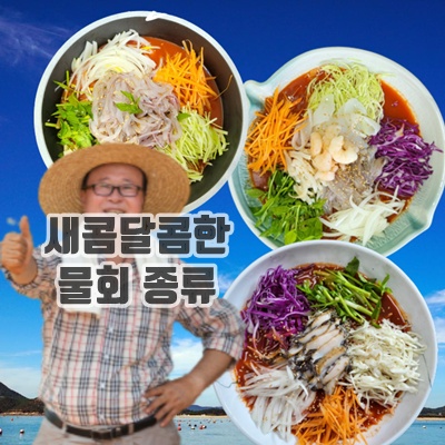 2.동해 시원한 물회 육수 소스 야채 세트 한치 전복 모듬 양념 밀키트 택배 가정용 업소용_이미지(imge)입니다.