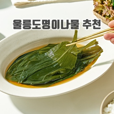 1.2024년 햇 맘씨레 울릉도 자연산 명이나물장아찌 1kg 반찬배달 캠핑요리 가정식반찬 반찬택배, 1kg, 2개_이미지(imge)입니다.