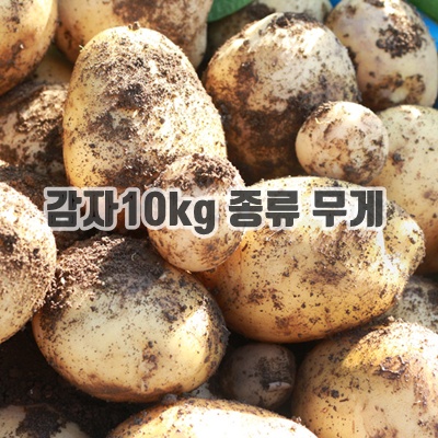1.늘해랑 포슬포슬 햇 수미감자, 1개, 감자 10kg(왕특)_이미지(imge)입니다.