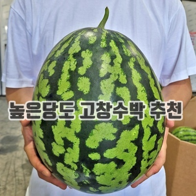 1.고당도 수박 8kg 국산 맛있는 고창 수박 진맛깔_이미지(imge)입니다.