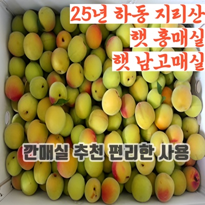 2.[품질보장] 25년 하동 청매실 씨뺀매실 쪼갠매실 남고 생 햇 매실 홍매실_이미지(imge)입니다.