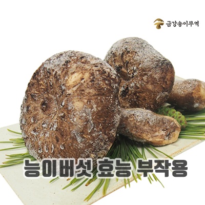 2.[금강송이무역] 자연산 능이버섯 냉동 [특품]_이미지(imge)입니다.