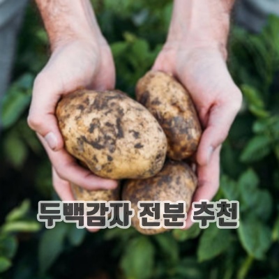 1.국내산 산지직송 두백 감자 햇감자_이미지(imge)입니다.