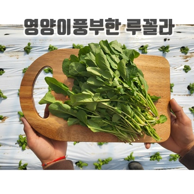 1.쉐프의정원 로케트 루꼴라, 1개_이미지(imge)입니다.