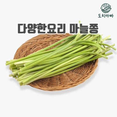 1.[도치아빠]아삭아삭 신선 마늘쫑 단쫑, 4개, 1kg_이미지(imge)입니다.