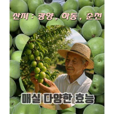 1.커몽랜드 국산 햇청매실 광양,하동,순천, 1박스, 매실 10kg (왕왕 대과)_이미지(imge)입니다.