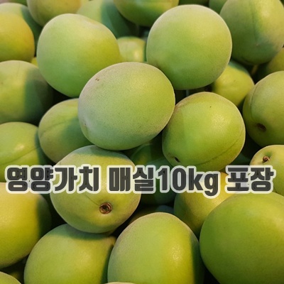 1.[첫 출하]단단한 청매실 국내산_이미지(imge)입니다.