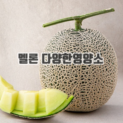 1.[로켓프레시] 새벽경매 머스크메론_이미지(imge)입니다.