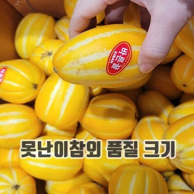 1.가정용 실속 참외 3KG 5KG 10KG 랜덤과 못난이 참외_이미지(imge)입니다.