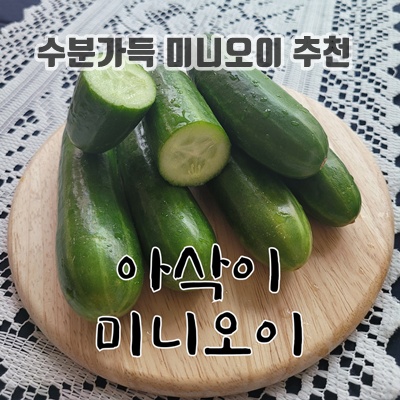 1.[청연가] 칠곡 아삭이 미니오이 스낵오이, 1박스, 500g_이미지(imge)입니다.