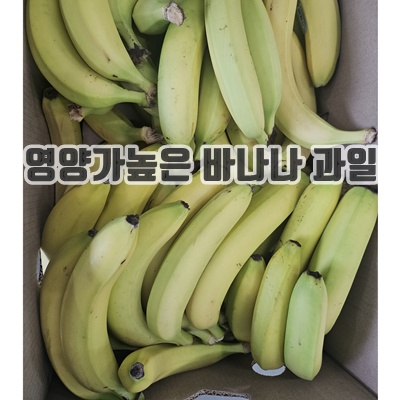 1.대량 바나나 낱개 주스용 카페용 대량 바나나, 1박스, 3kg_이미지(imge)입니다.