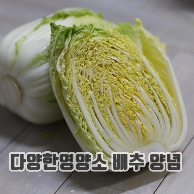 1.노랗고 속이 알찬 전남 해남 알배추, 6개, 600g_이미지(imge)입니다.