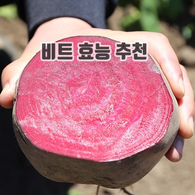 1.제주 햇 레드비트 3kg 5kg 10kg, 1개, 5kg_이미지(imge)입니다.