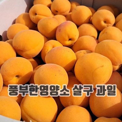 1.[한정특가] 대형마트납품 고당도 국내산 햇 살구, 1박스, 2kg(중대과)_이미지(imge)입니다.