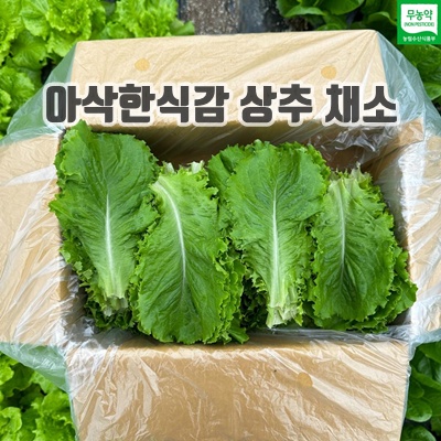 1.무농약 로메인 유러피안 샐러드 상추 쌈채소 샐러드채소 친환경 산지직송 당일수확, 1박스, 1kg_이미지(imge)입니다.