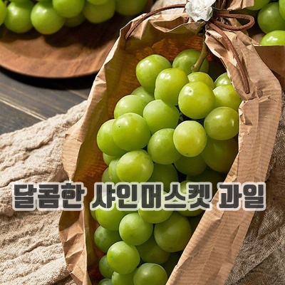 1.열매나무 거창 햇 샤인머스켓 2kg[34762824]_이미지(imge)입니다.