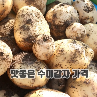 1.포슬포슬 햇 수미감자, 1개, 감자 10kg(대)_이미지(imge)입니다.
