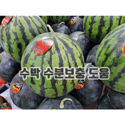 1.[허니삼구]고당도 꿀 수박 4KG내외~9KG내외, 8-9KG내외, 1개_이미지(imge)입니다.