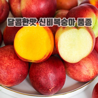 1.[딱2주한정특가] 천상의맛 신비복숭아 신선복숭아, 1박스, 신선1kg(대과)_이미지(imge)입니다.