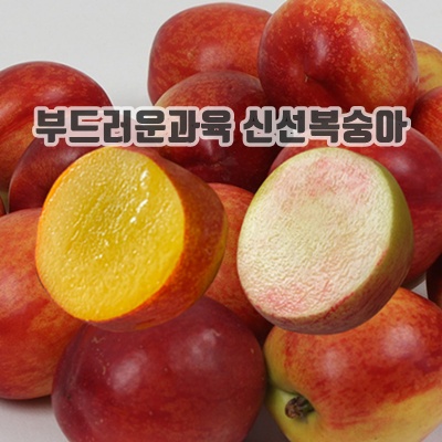 1.딱2주한정특가 천상의맛 신비복숭아 신선복숭아, 1박스, 신선2kg(대과)_이미지(imge)입니다.