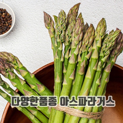 1.국내산 생 아스파라거스 강원 양구 당일수확, 1개, 500g_이미지(imge)입니다.
