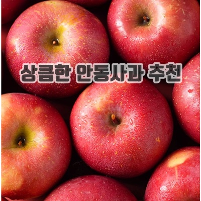 1.[안동명품농장] 꿀즙brix 아삭상큼한 초특가 못난이사과_이미지(imge)입니다.