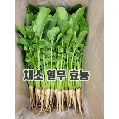 1.솔이네야채가게 직영 농장 열무, 1박스, 4KG_이미지(imge)입니다.