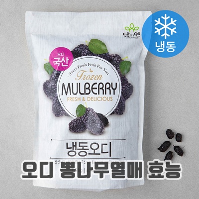 1.담과연 냉동 오디 (냉동), 1.5kg, 1개_이미지(imge)입니다.