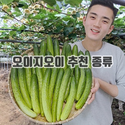 1.오이 오이지오이 백다다기 백오이 오이지용 소박이용 10개, 25개, 50개_이미지(imge)입니다.