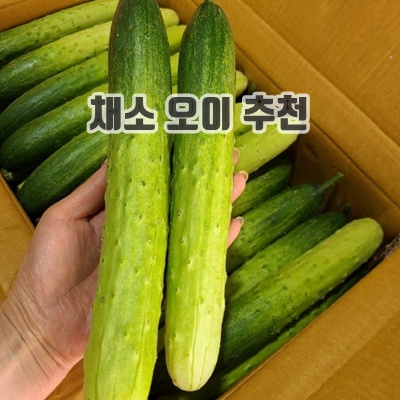 1.백오이 지오이 백다다기오이 특품 10개,15개, 30개, 50개, 1개, 45~50개_이미지(imge)입니다.