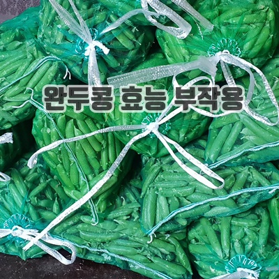 2.국내산 햇 완두콩 2kg ,4kg이내 백산상회_이미지(imge)입니다.