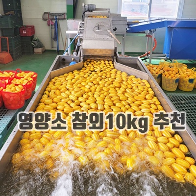 1.성주 꿀 참외 산지직송 당도선별 가정용, 10kg(랜덤), 1개_이미지(imge)입니다.