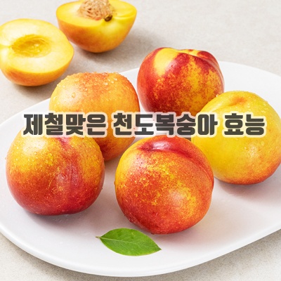 1.[로켓프레시] 경산농협 옹골찬 GAP 인증 경산 천도복숭아_이미지(imge)입니다.