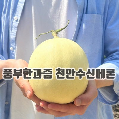 1.초고당도 천안 수신메론 홈런스타 멜론_이미지(imge)입니다.