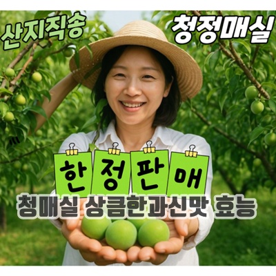 1.산지직송 국내산 청정 청매실 5kg 10kg / 제철 신선과일 특품 / 매실청용 청매실, 1개, 5kg 특 (3.3~3.6cm)_이미지(imge)입니다.