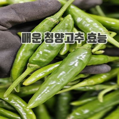 1.매운청양 고추 맛있게 매운국산 청양 땡초 특품[원산지:국산], 1박스, 1kg_이미지(imge)입니다.