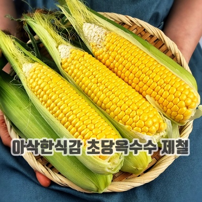 1.햇살농원 아삭 달콤 고당도 햇 초당옥수수 제철 노란옥수수, 5개, (대) 14~16cm내외_이미지(imge)입니다.