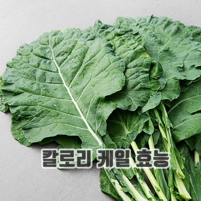 1.유기농 녹즙용 케일_이미지(imge)입니다.