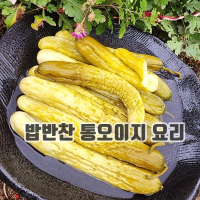 1.올바른새움푸드 농가수제 저염오이지 짜지 않아 부담 없는 밥반찬, 3kg, 1개_이미지(imge)입니다.
