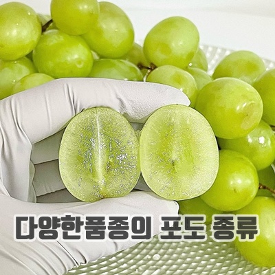 1.한정특가 당도보장 씨없는 애플청포도 오톰크리스피, 1박스, 3kg_이미지(imge)입니다.