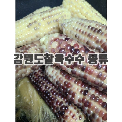1.강원도 홍천 미백 흑 찰옥수수 [발송중]_이미지(imge)입니다.