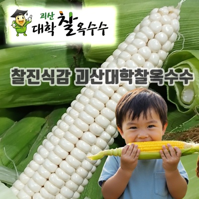 1.2025년 괴산 대학찰옥수수 산지직송 당일수확_이미지(imge)입니다.
