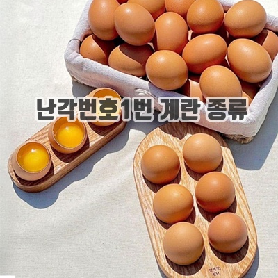 1.따봉프레시 HACCP 난각번호 1번 황제 특대란 유정란 자연방사 무항생제_이미지(imge)입니다.